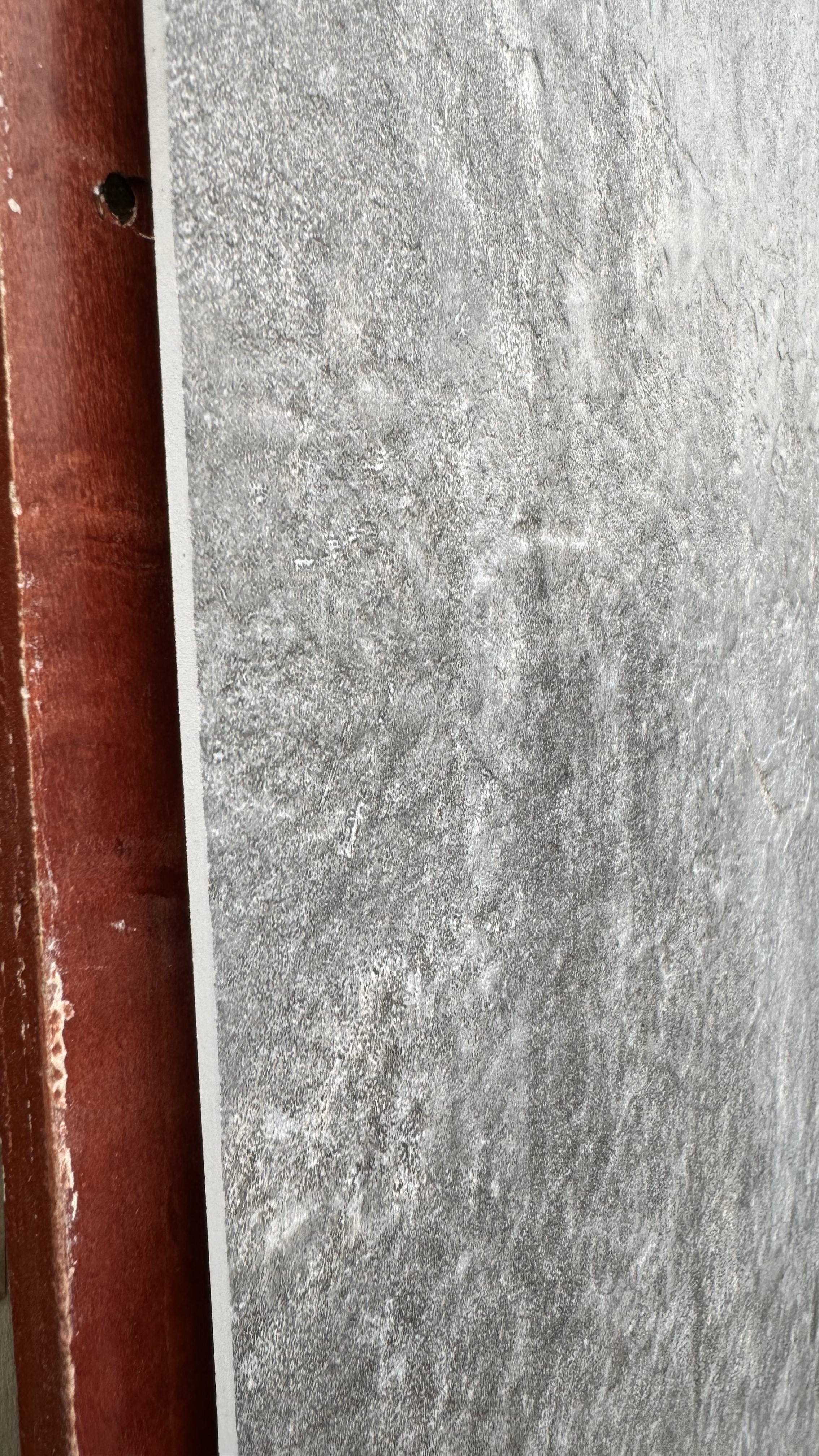 Wandpaneel/Wandfliese Light Beton