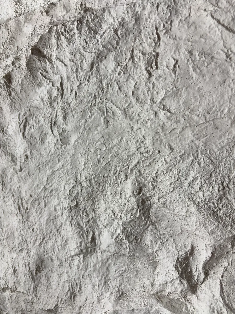 Canjun Blancura Felsoptik