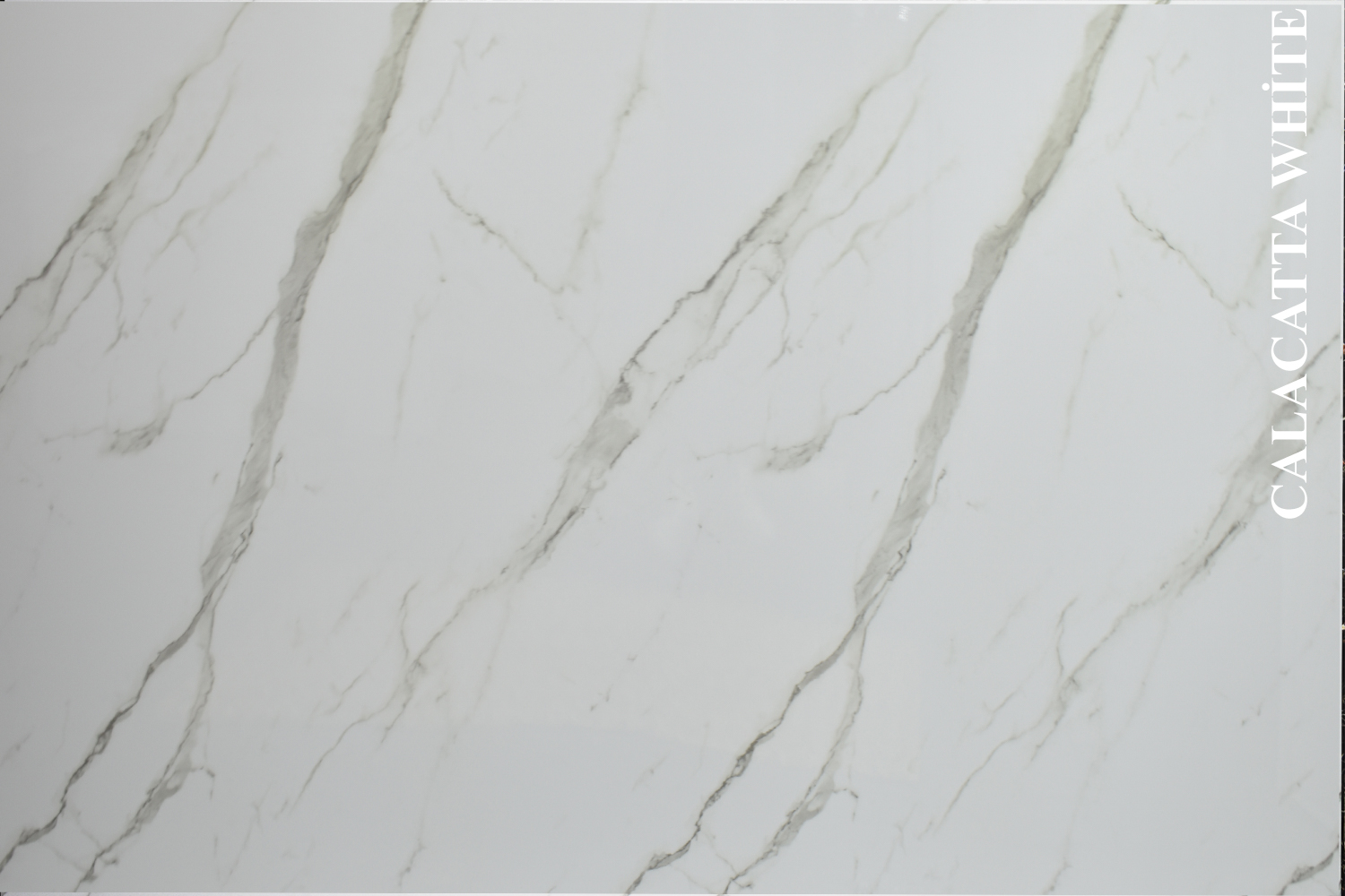 Wandpaneel/Wandfliese Calacatta White 