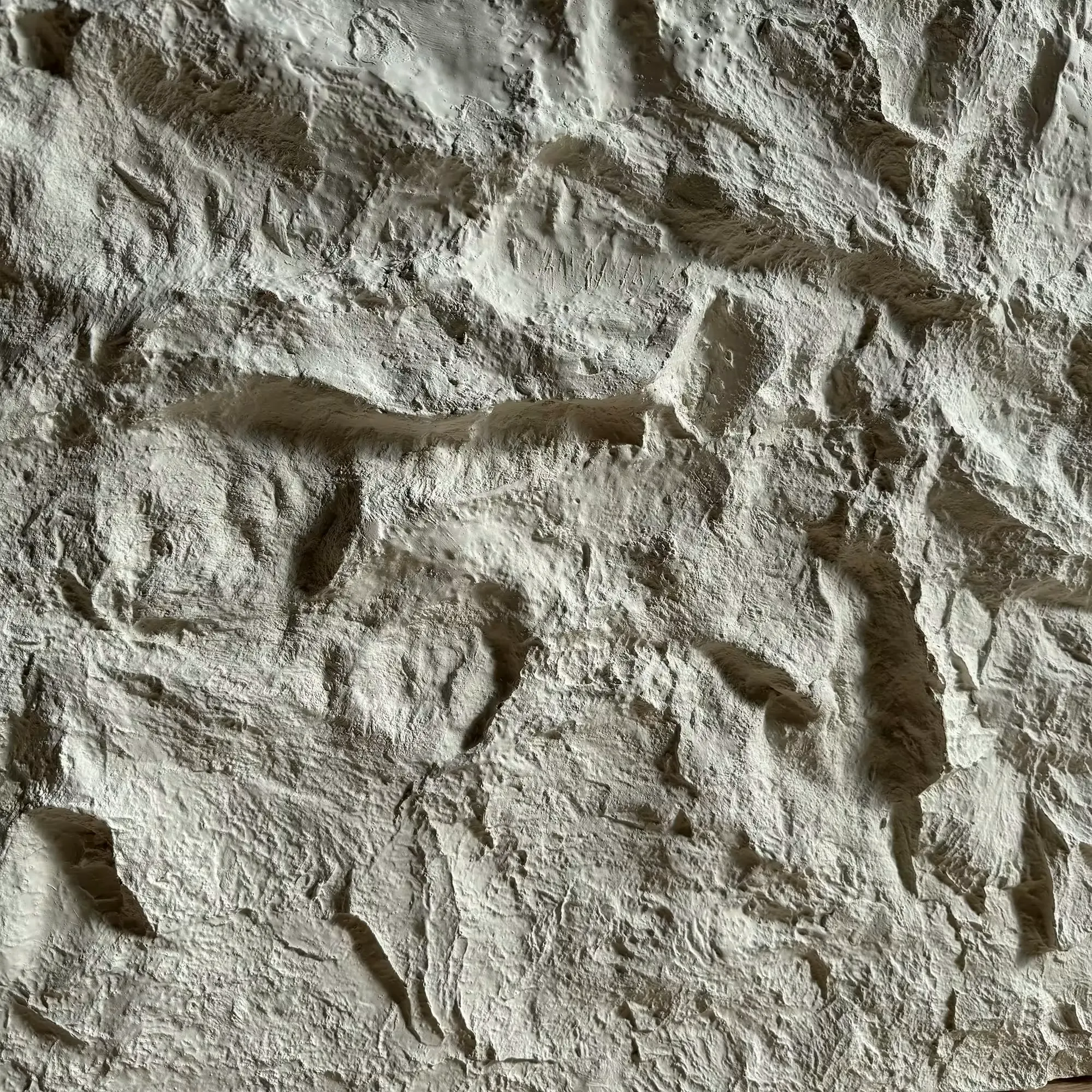 Canjun Blancura Felsoptik